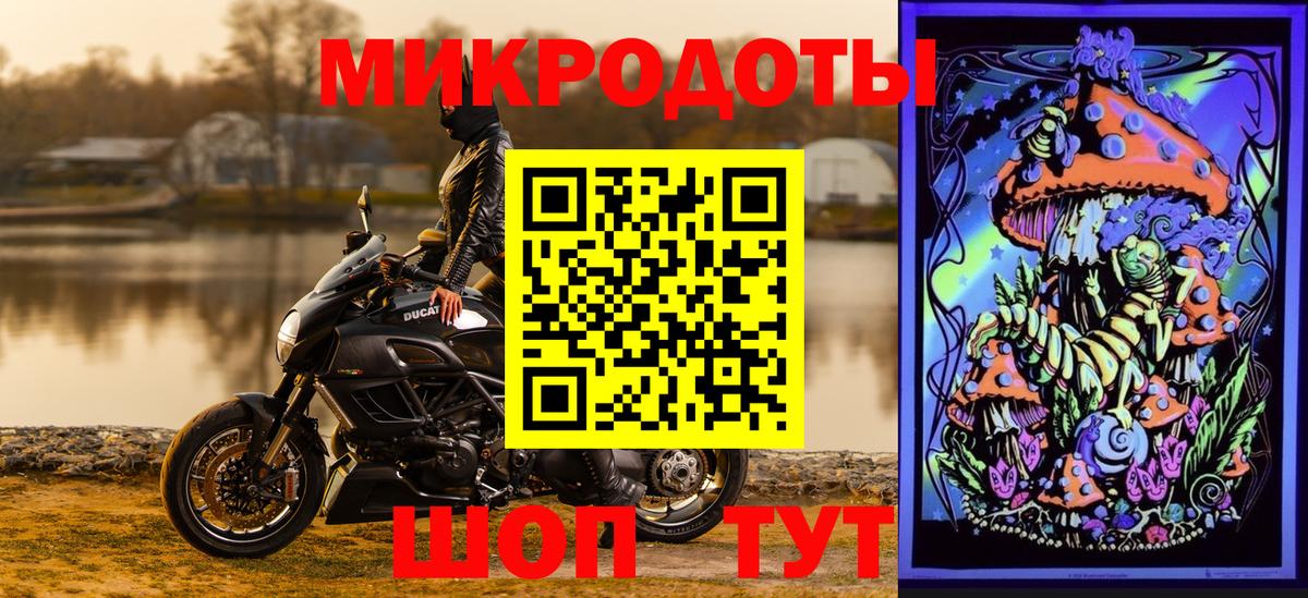 где найти   Вход с VPN  Псилоцибиновые грибы GOLDEN TEACHER  Кузнецк  Псилоцибиновые грибы Psilocybine cubensis 