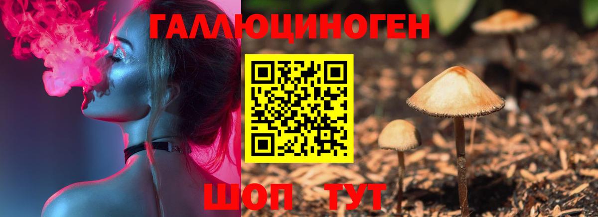 Галлюциногенные грибы MAGIC MUSHROOMS Кузнецк